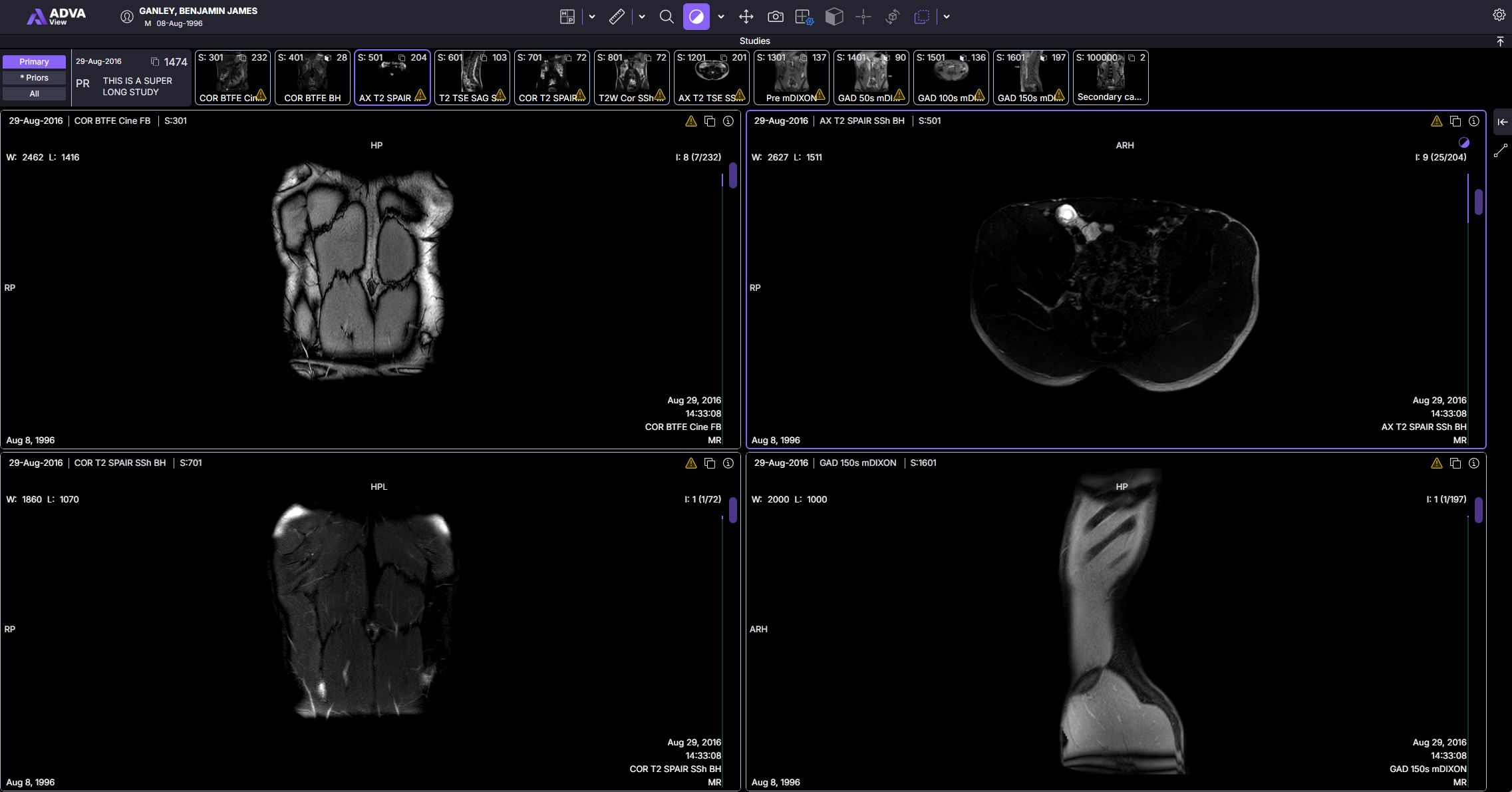 Viewport Grid Labeled